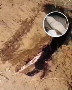 Jasad Andien ditelan bumi